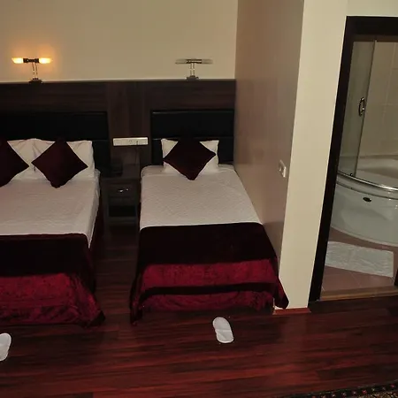 Queen Hotel 3*